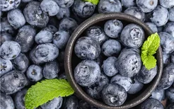 孕妇可以吃蓝莓吗