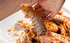 孕妇可以吃皮皮虾吗