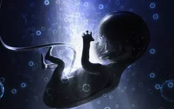 孕期抽烟影响胎儿视力发育