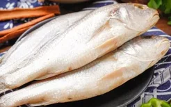 月子餐的海鲜怎么做 黄花鱼、鲍鱼这样做营养又好吃