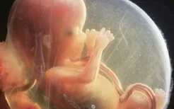 怀孕后期要时刻注意胎儿的发育