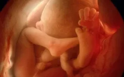 胎儿出现危险的几个信号