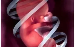 胎儿脐带绕颈会有危险吗