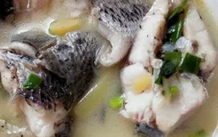 哺乳期可以喝黑鱼汤吗